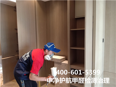 绿植除甲醛靠谱吗400-601-5399欧博abg大兴周边学校幼儿园除甲醛